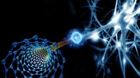 Nanoscale optical probes to monitor neural activity