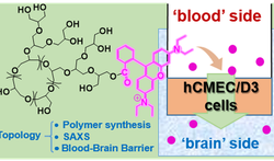 Synthesis of hyperbranched polymer architectures for biomedical applications