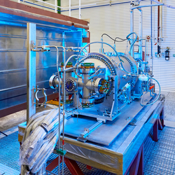 Single ion detection to find the nature of the neutrino