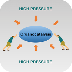 Computational study of the effect of pressure on organocatalysis