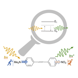 Rationalization of linear and nonlinear optical properties