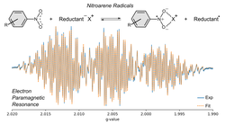 Expanding the Scope of Radical Ion Pairs