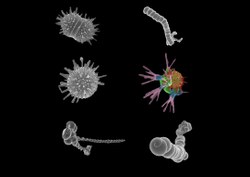 Mineral self-organization and prebiotic chemistry