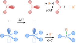 Unlocking direct C-H activation with radical pairs
