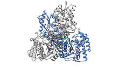 Proton dynamics in enzymatic processes