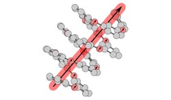 Magnetic Anisotropy in Organic Polyradicals