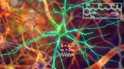 Simulation of nonlinear optical properties of voltage-sensitive dyes