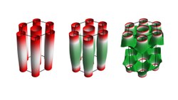 Correlated phases in Transition Metal Dichalcogenides