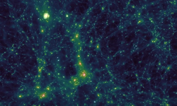 Cosmological Simulations