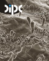 DIPC24cover