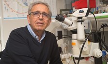 "The great genetic similarity between flies and humans. Implications for human biology and disease", conference by Ginés Morata