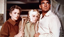 The birds - Los pájaros (Alfred Hitchcock, 1963)