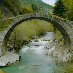 activity image