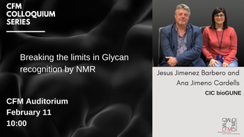 Breaking the limits in Glycan recognition by NMR