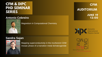 CFM-DIPC PhD seminar series 2024