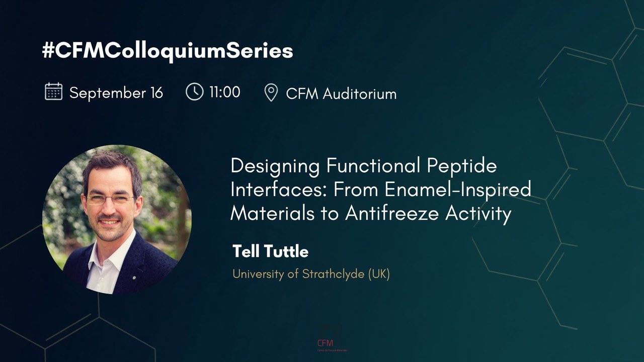 Designing Functional Peptide Interfaces: From Enamel-Inspired Materials to Antifreeze Activity