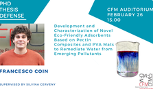 PhD Thesis Defense | Francesco Coin