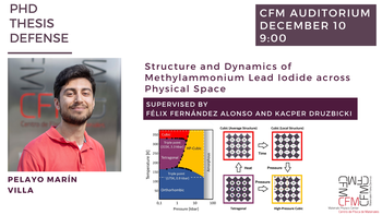 PhD Thesis Defense |  Pelayo Marín Villa