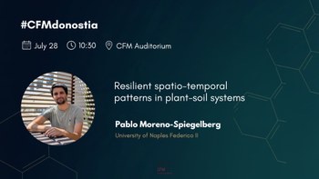 Resilient spatio-temporal patterns in plant-soil systems