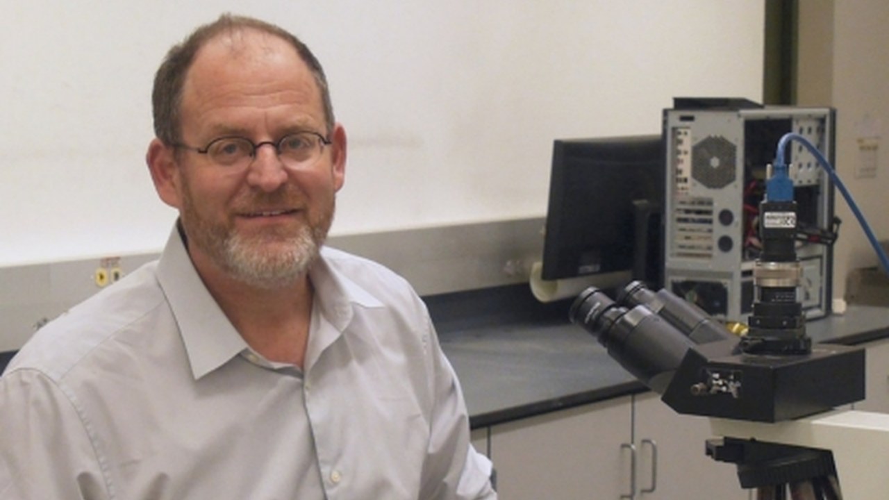 Chiral Crystals in Light from Pasteur to the Present