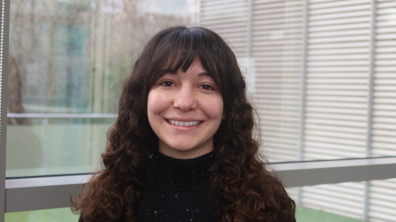 Synthetic Nanogels for Cytokine Delivery and Macrophage Immunotherapy