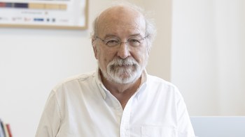 The Earth that cradled life: the role of silica