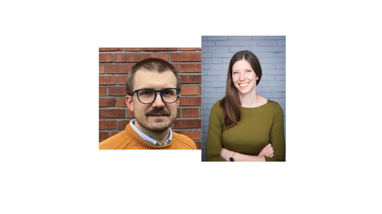 Towards a Perfect Nanomaterial / Photoluminescence signals in a scattering-type scanning  near-field optical microscope