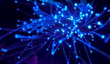 Random Walks: a physicist's journey from the lab into the  world