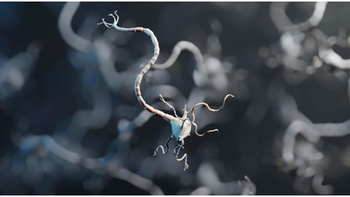 Donostia, Zientzia Hiria comes back with a cycle of talks on neurotechnologies and brain