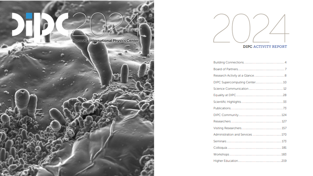 DIPC Activity Report 2024 is available online DIPC Activity Report 2024 is available online