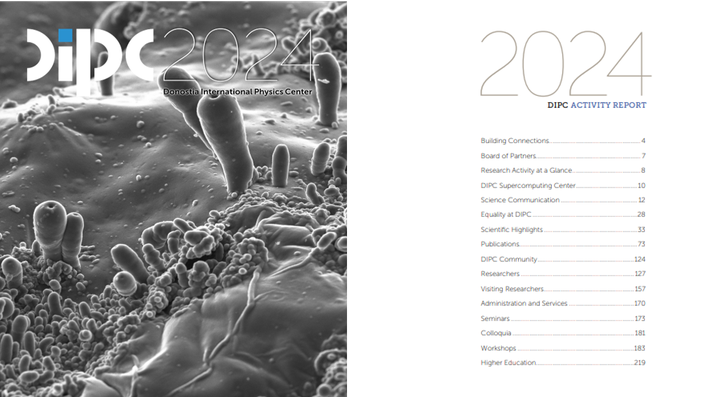 DIPC Activity Report 2024 is available online