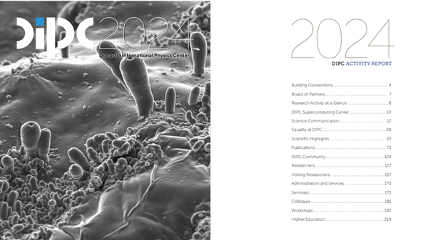 DIPC Activity Report 2024 is available online