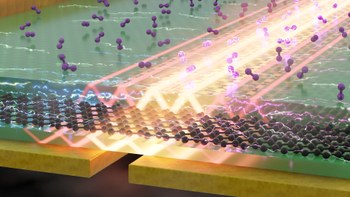 Nano-scale molecular detective: New on-chip device uses exotic light rays in 2D material to detect molecules