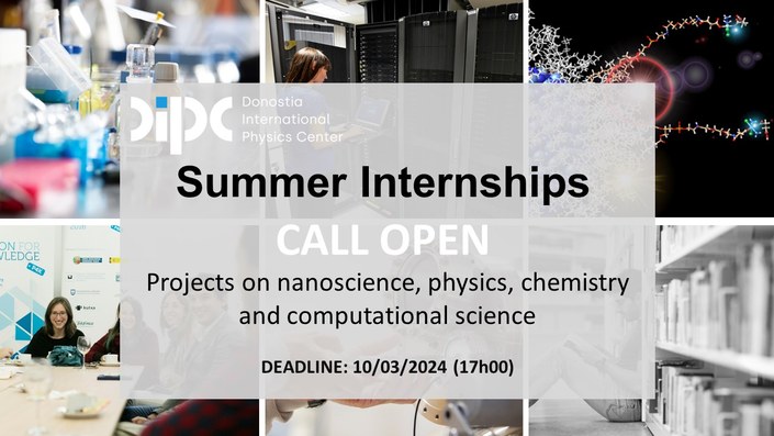 Summer internship for university students at DIPC, registration is now open