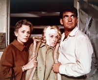 The birds - Los pájaros (Alfred Hitchcock, 1963)