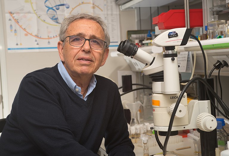 Gines Morata Pérez-PhotoShoot 22 1.jpg