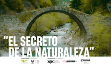 "El secreto de la Naturaleza" dokumentalaren emanaldia eta Pedro Miguel Etxenikeri elkarrizketa Bergaran